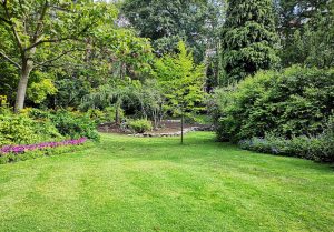Optimiser l'expérience du jardin à Celles-sur-Aisne